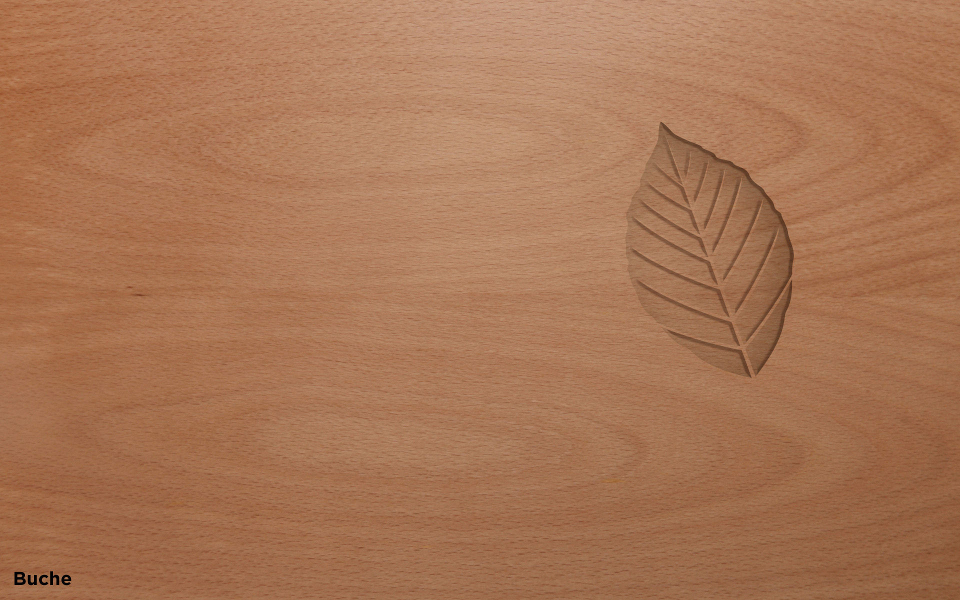 Buche